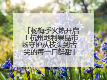 杨梅季火热开启！杭州地利果品市场守护从枝头到舌尖的每一口鲜甜